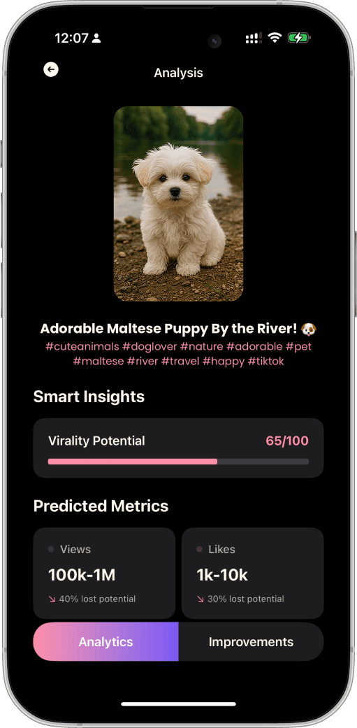 Go Viral AI Creator Toolkit app interface showing TikTok video analysis with hook score rating, engagement heat map, viral prediction percentage, and trending hashtag suggestions for content creators